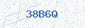 Security verification code
