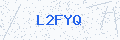 Security verification code