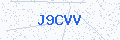 Security verification code