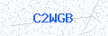 Security verification code