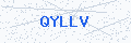 Security verification code