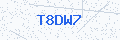 Security verification code
