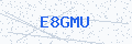 Security verification code