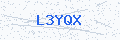 Security verification code
