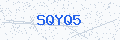 Security verification code