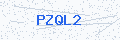Security verification code