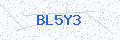 Security verification code