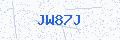 Security verification code