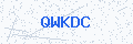 Security verification code
