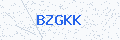 Security verification code