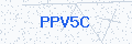 Security verification code