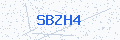 Security verification code