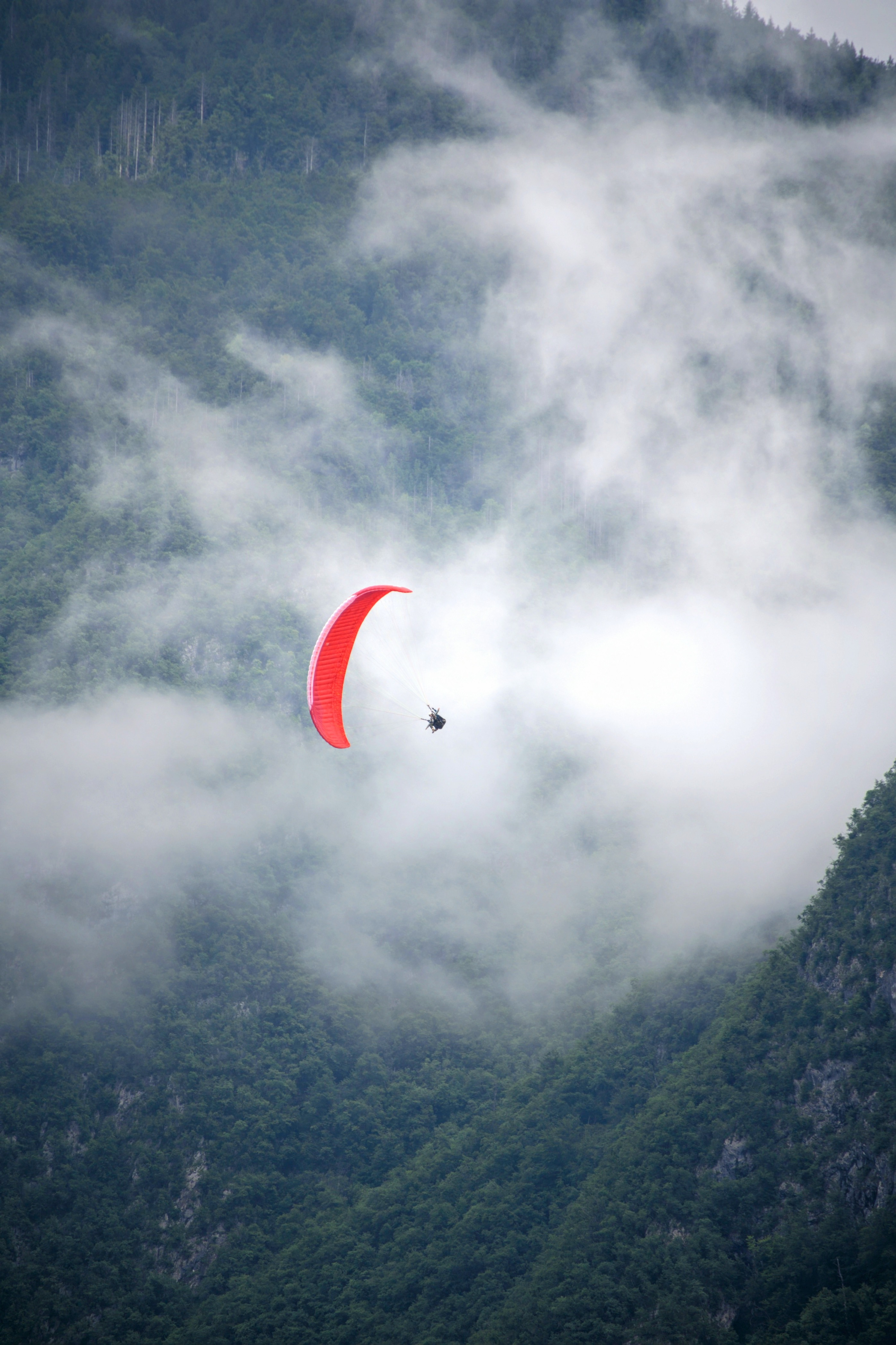 מצנח רחיפה אדום מעל יער הררי מכוסה ערפל | Red Paraglider Over a Foggy Mountain Forest