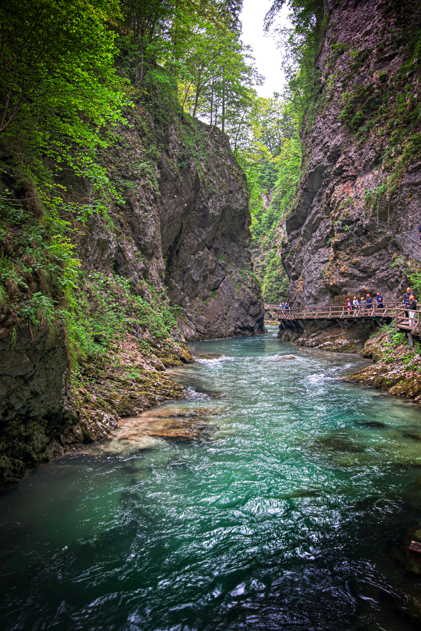 נהר טורקיז זורם בערוץ קניון סלעי עם שביל הליכה מעץ למטיילים | Turquoise River Flowing in a Rocky River Gorge with a Wooden Hiking Boardwalk
