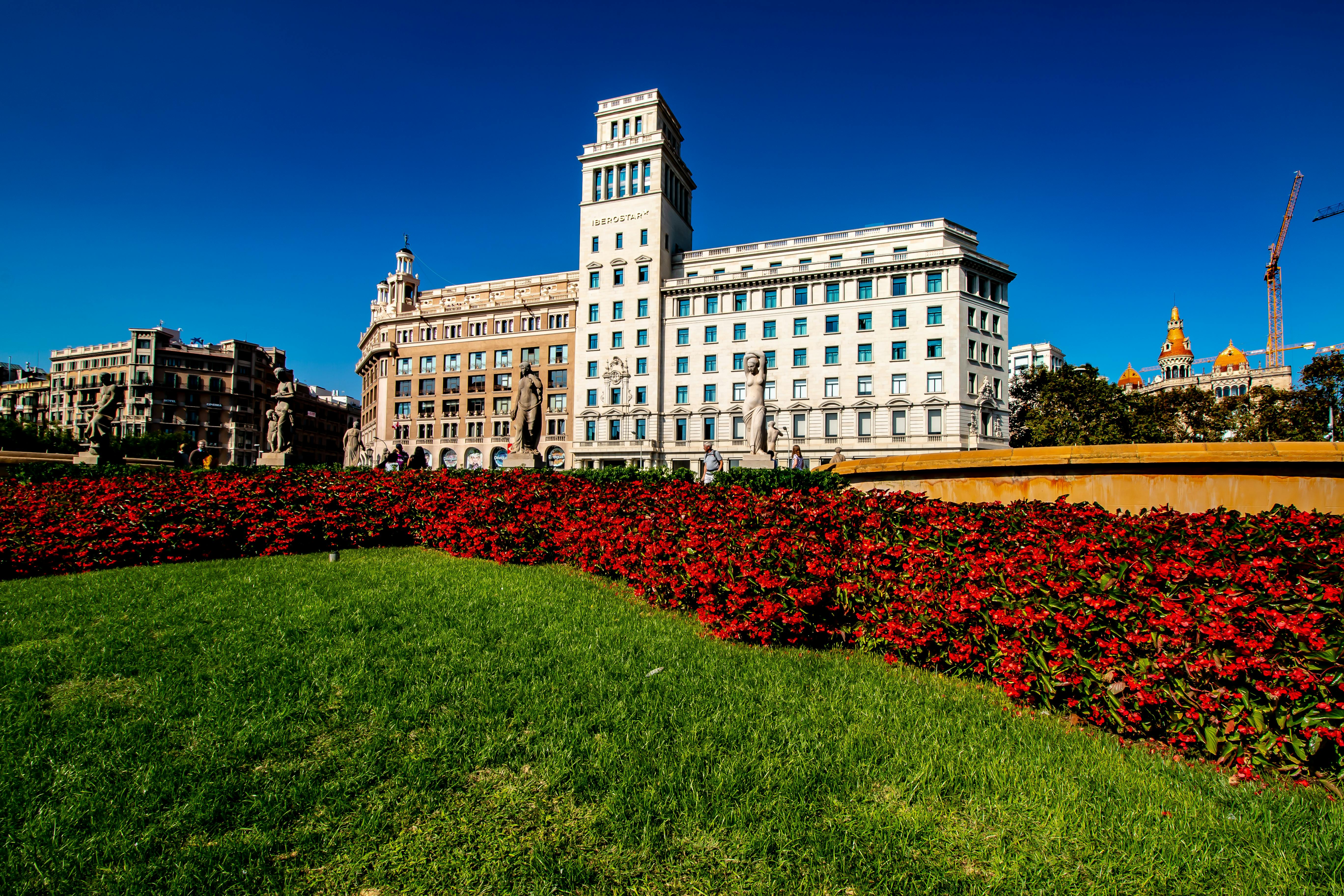 פרחים אדומים בחזית בניין היסטורי בכיכר קטלוניה ברצלונה | Red Flowers in front of Historic Building Plaça de Catalunya Barcelona