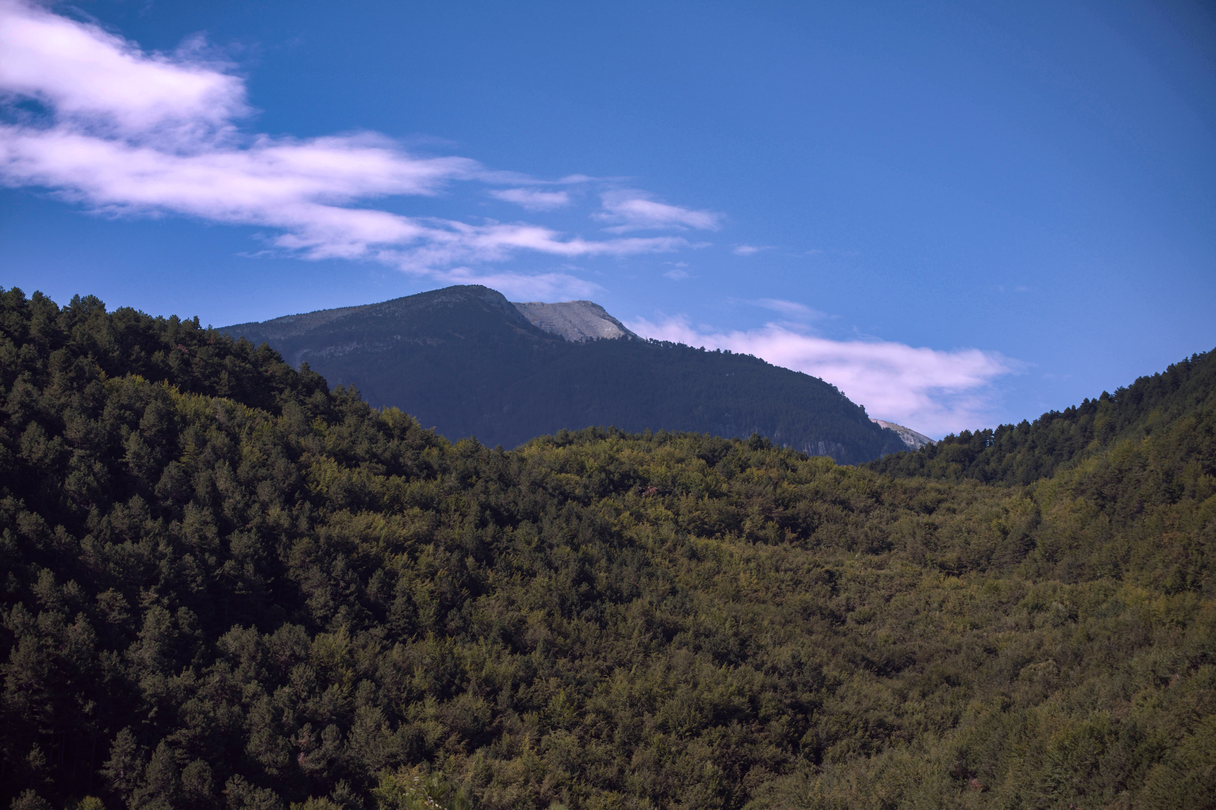 נוף הררי ירוק ומיוער תחת שמיים כחולים עם עננים