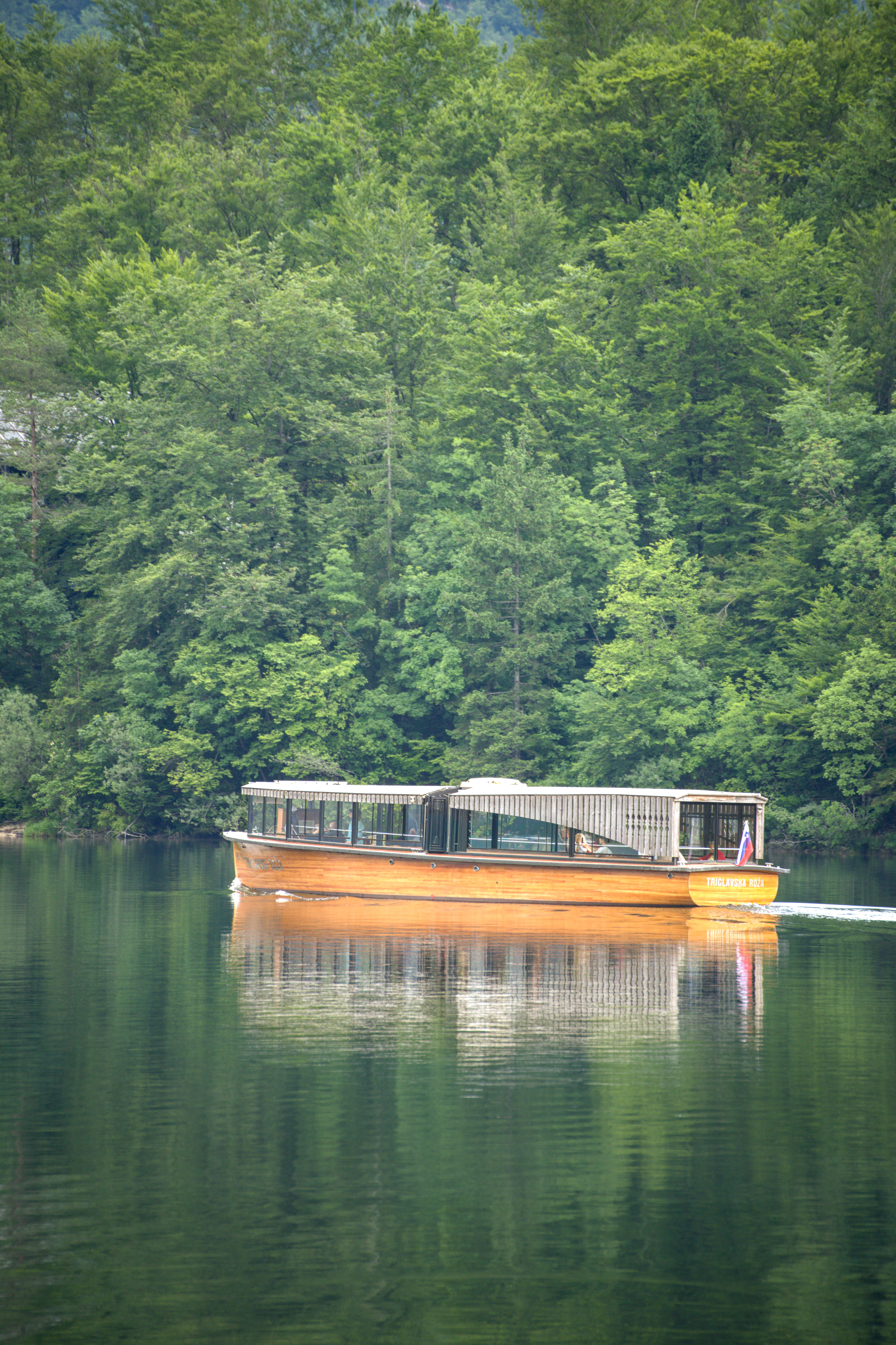 סירת נוסעים קלאסית מעץ שטה באגם רגוע על רקע יער ירוק וצפוף