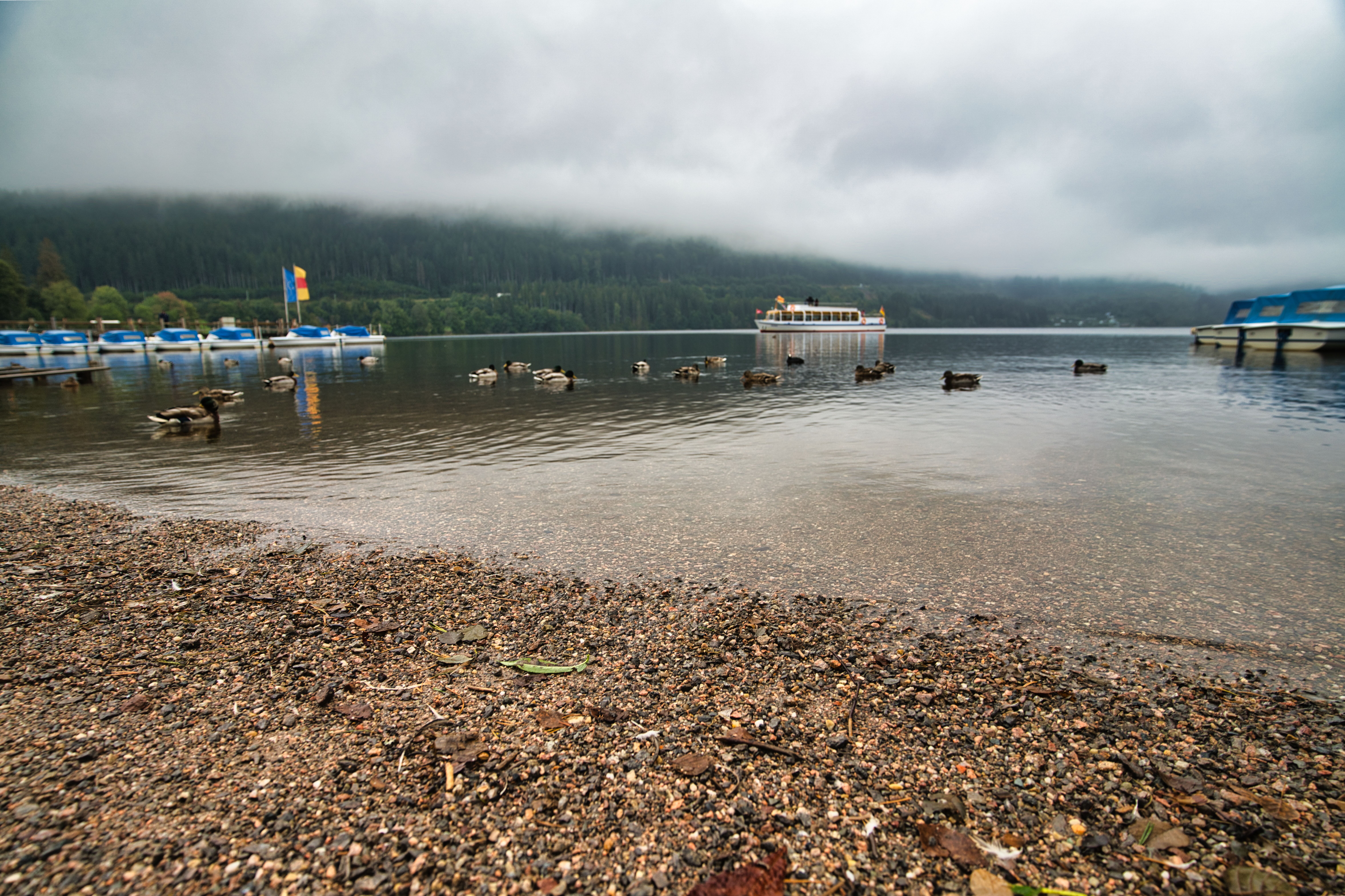 לגונה אירופית
