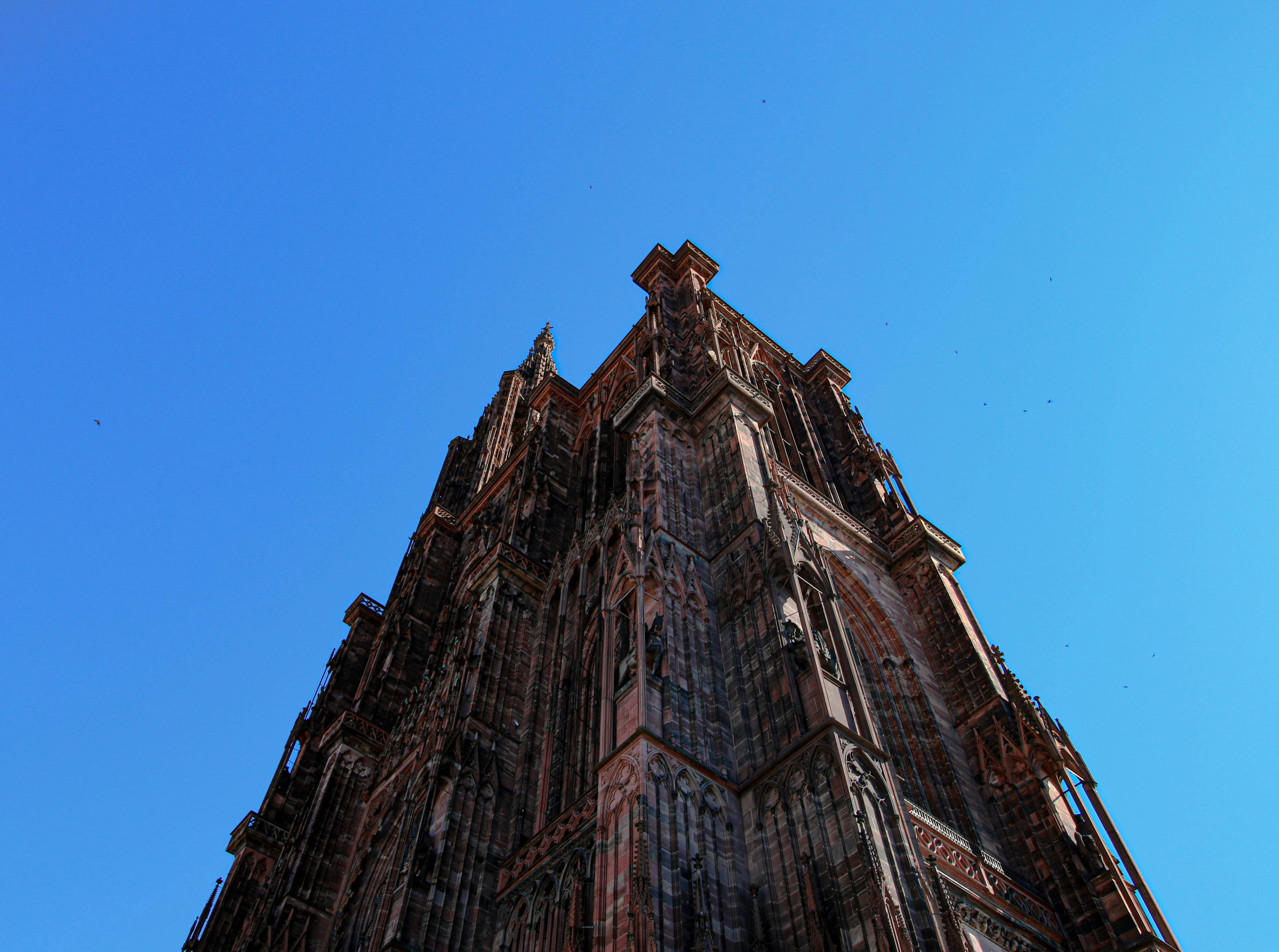 צריח קתדרלה גותית כלפי השמיים | Gothic Cathedral Spire Looking Up