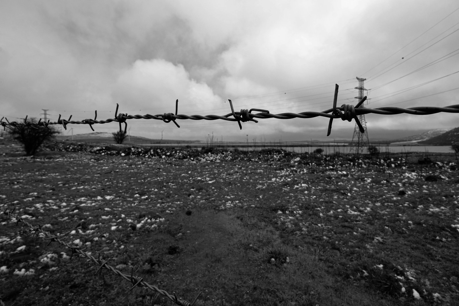 RONROV — גלריית צילום