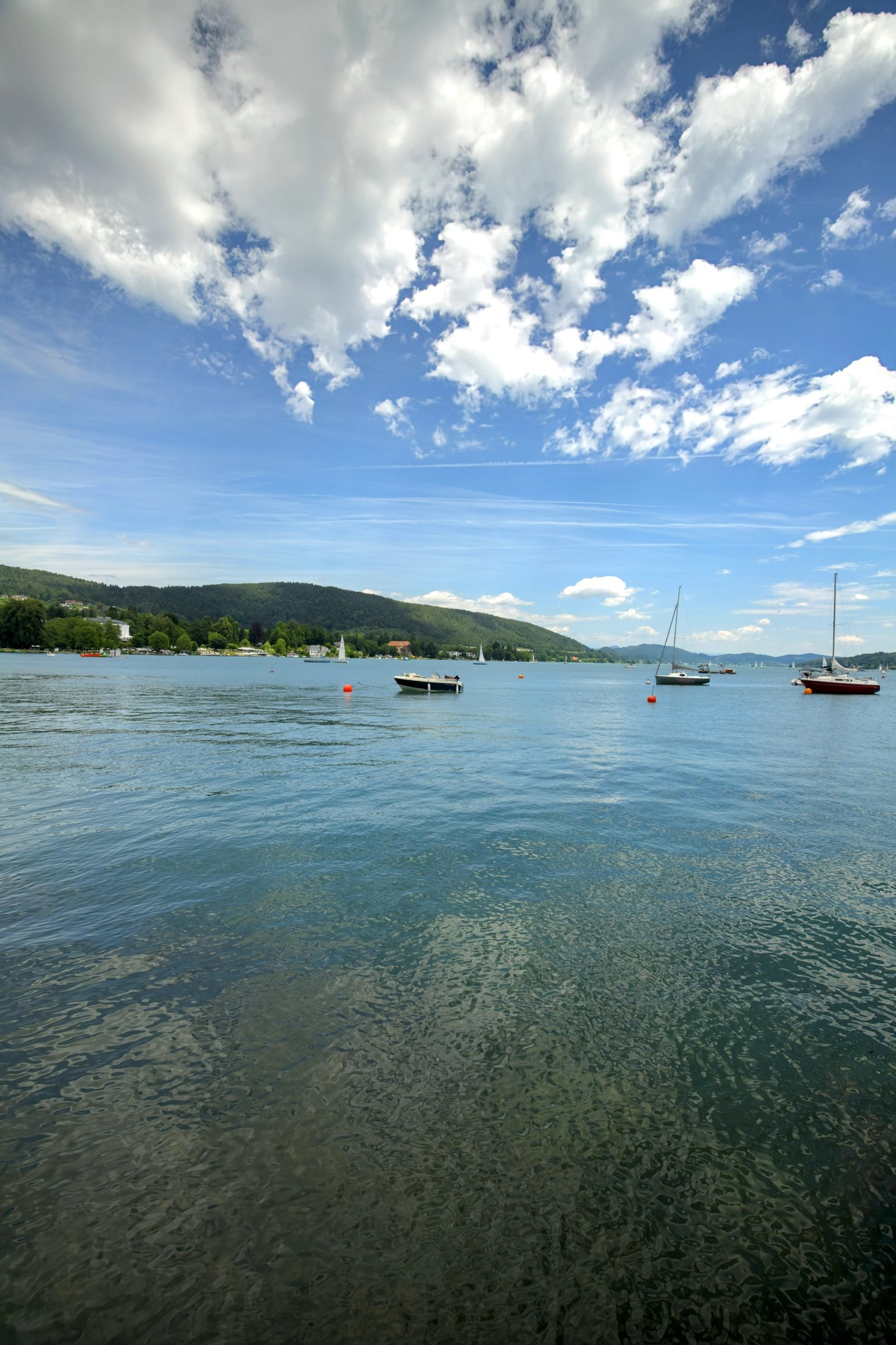 RONROV — גלריית צילום