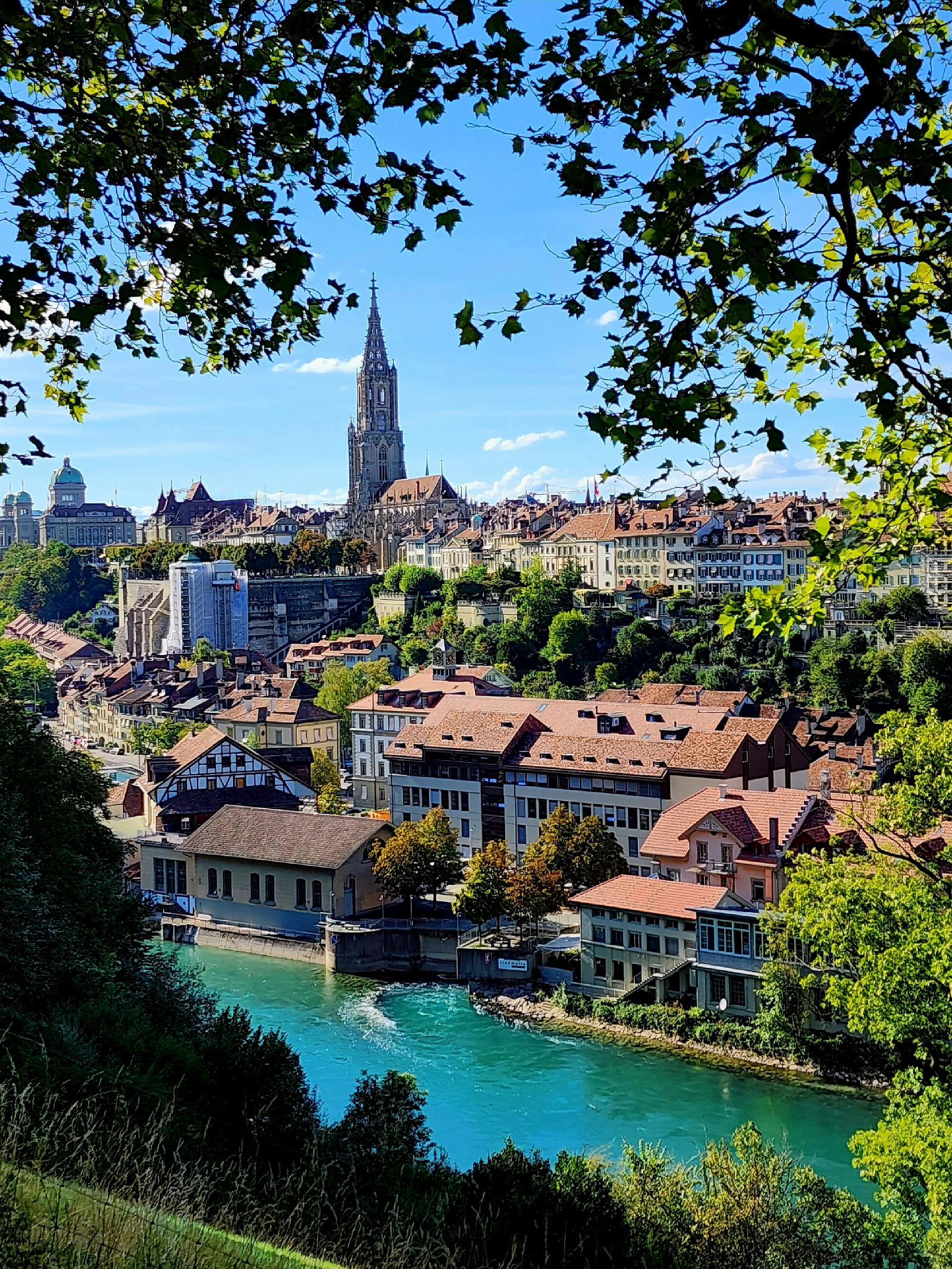 RONROV — גלריית צילום