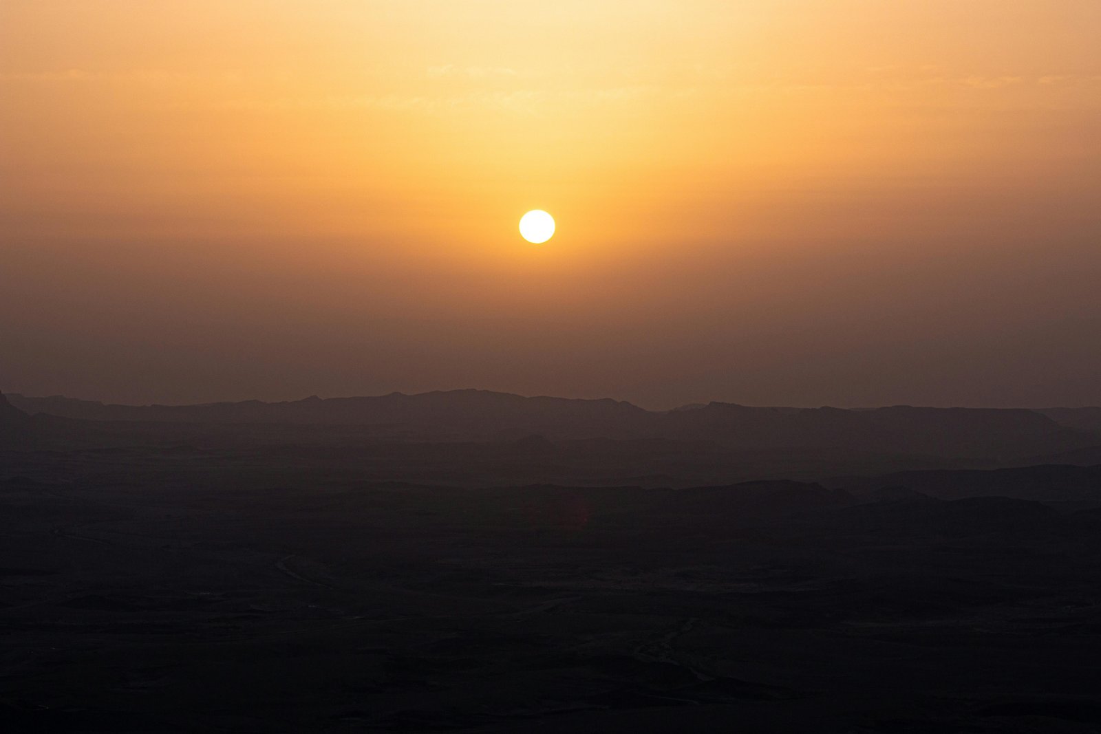 RONROV — גלריית צילום