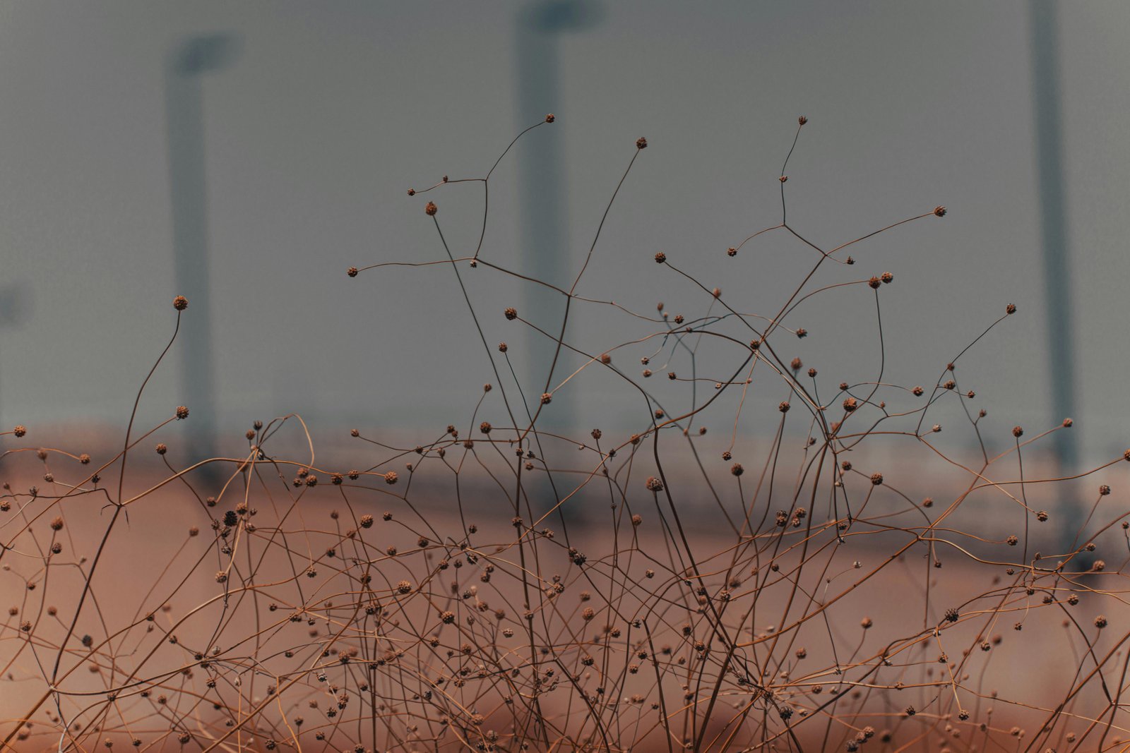 RONROV — Photography Gallery