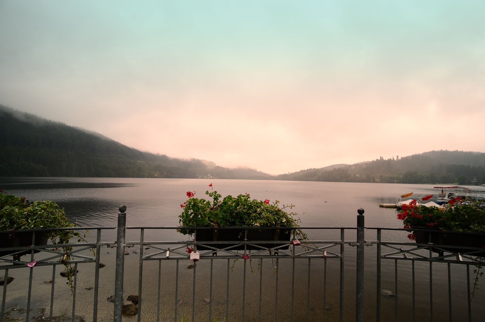 RONROV — Photography Gallery