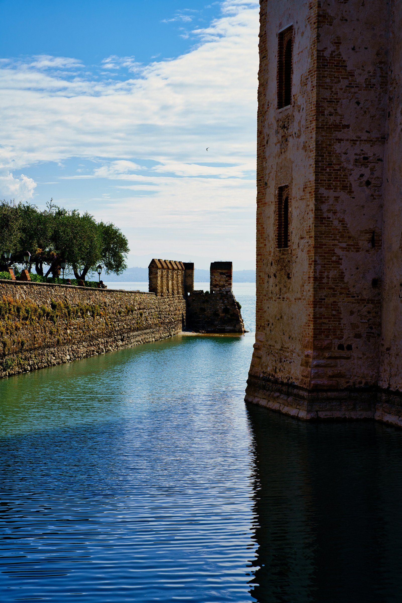 RONROV — גלריית צילום