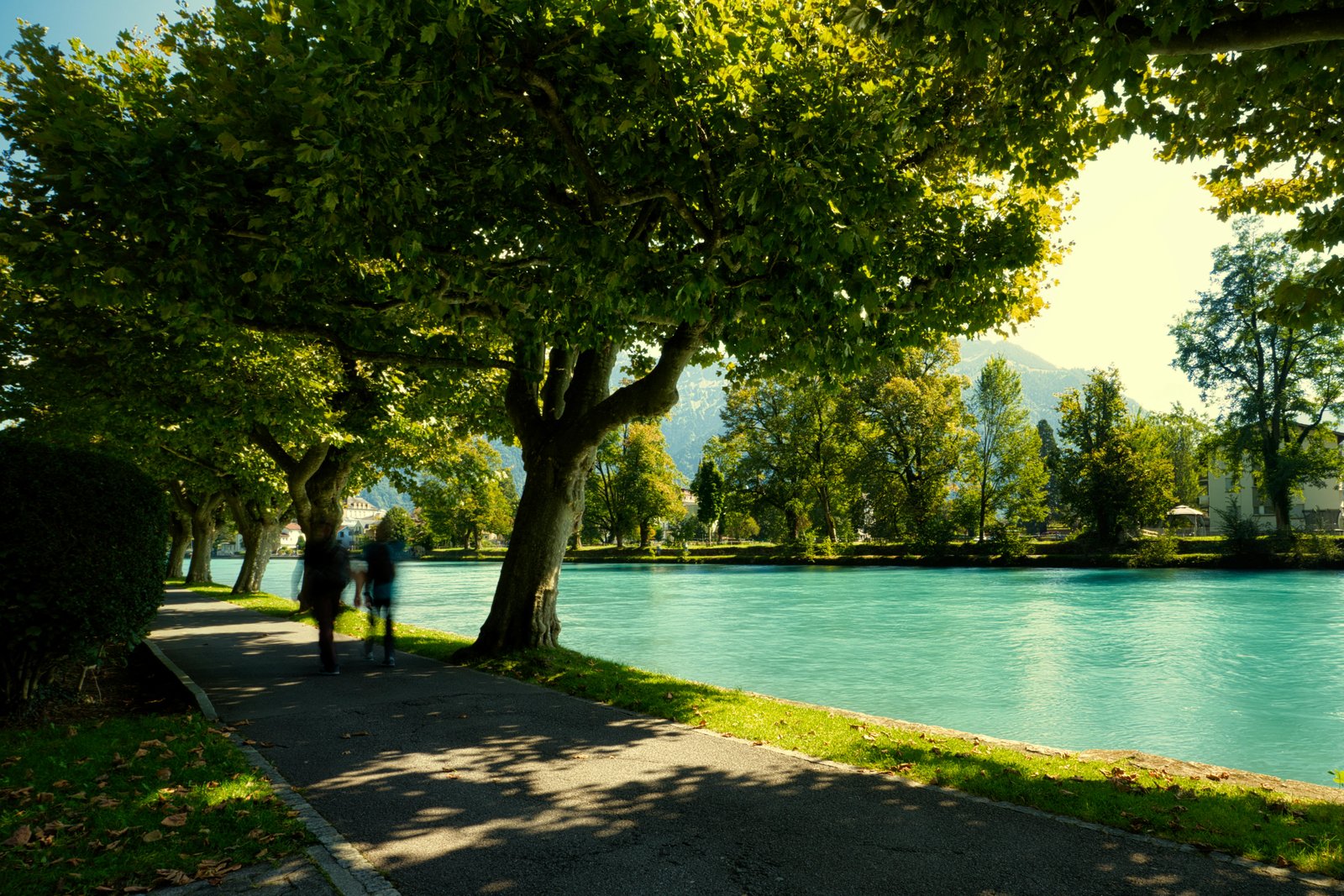 RONROV — גלריית צילום