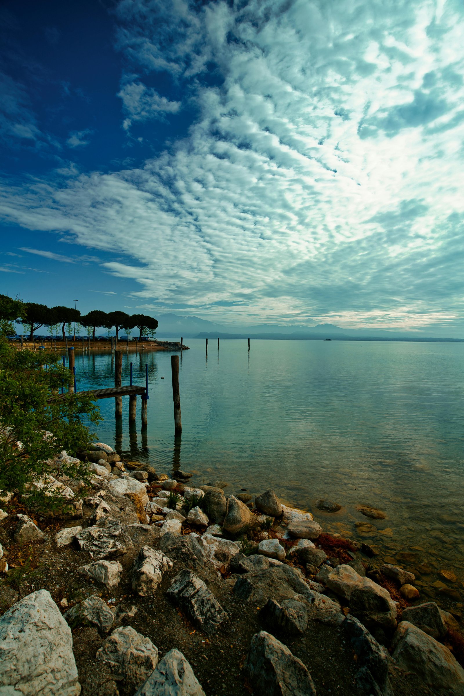 RONROV — גלריית צילום