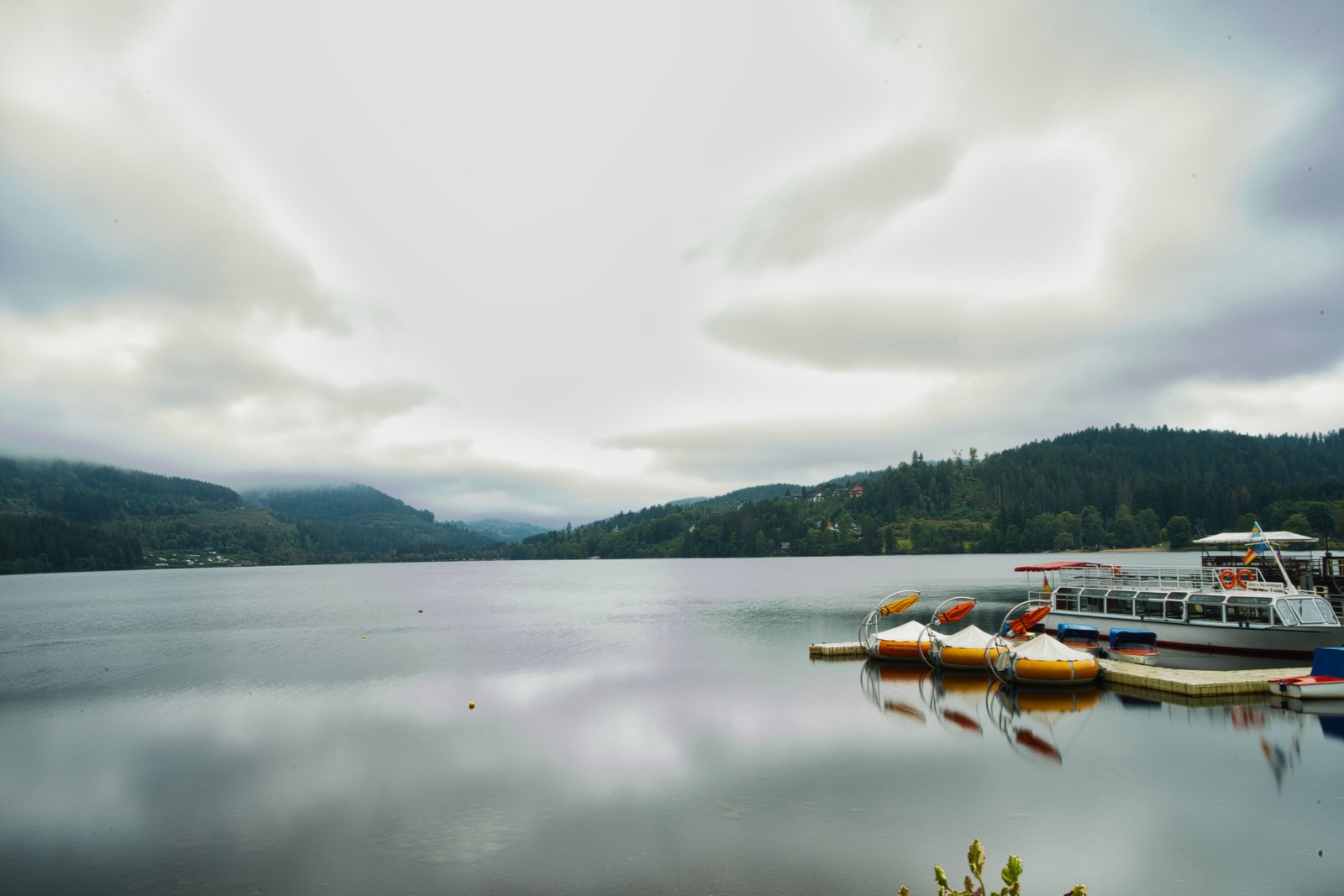 RONROV — גלריית צילום