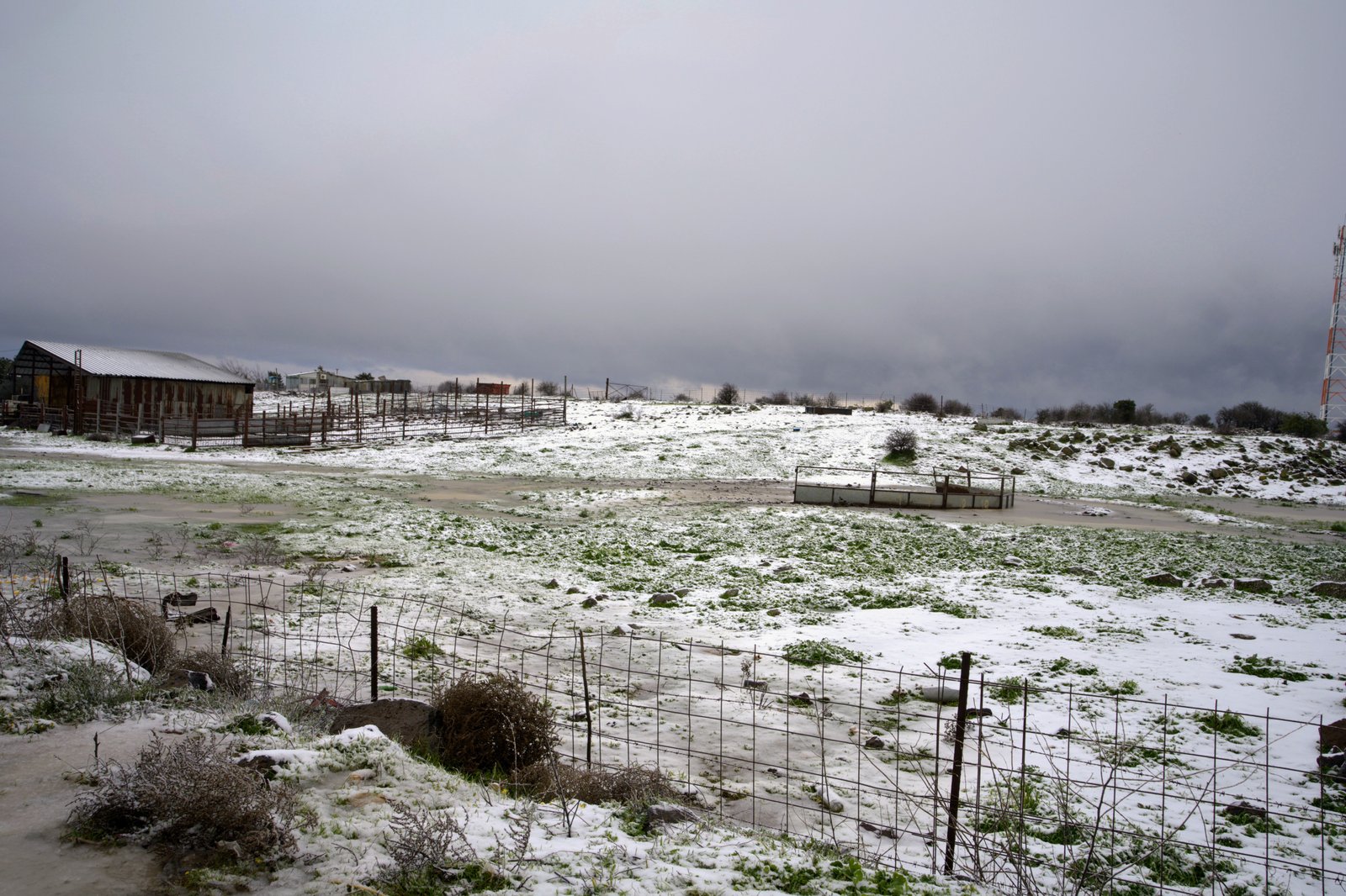 RONROV — גלריית צילום