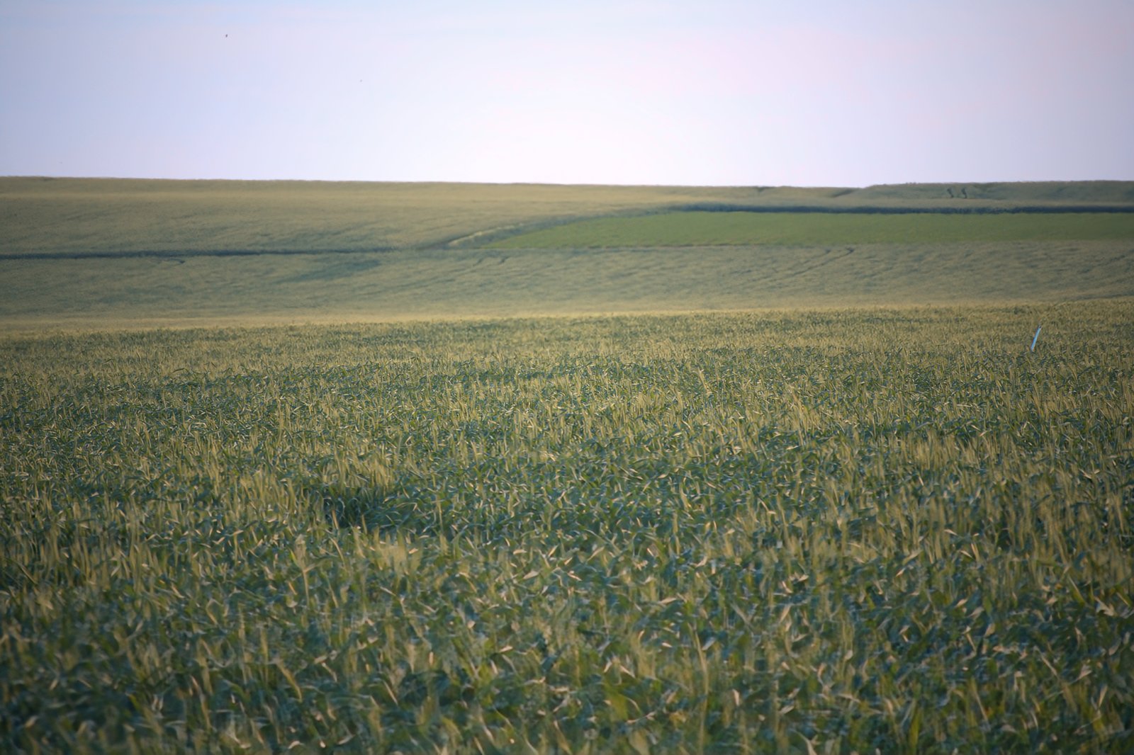 RONROV — גלריית צילום